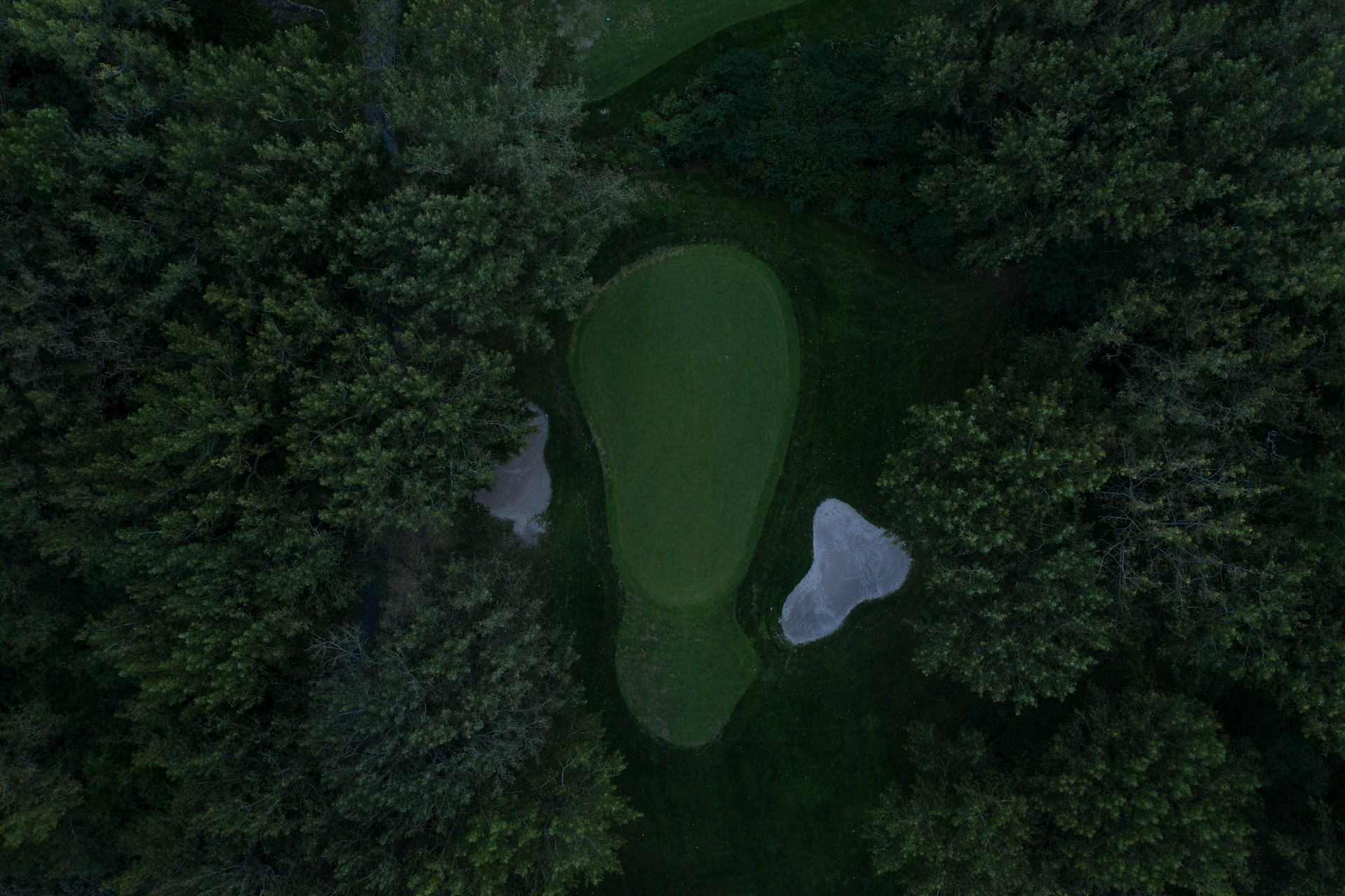Un green de golf entouré d’arbres et de bunkers, vu du ciel
